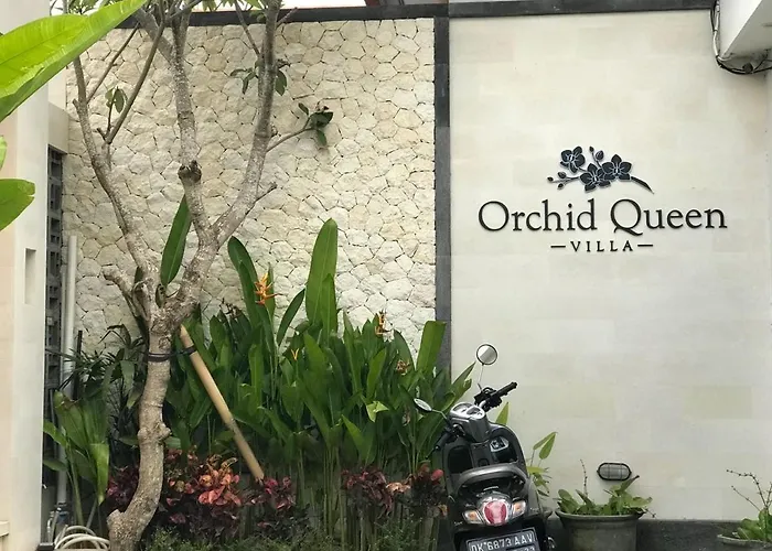 Orchid Queen サヌール